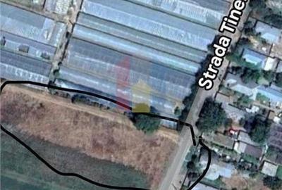 Spațiu comercial, în Chiscani - 2