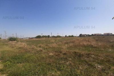 Teren pentru investitie langa Bucuresti - 6