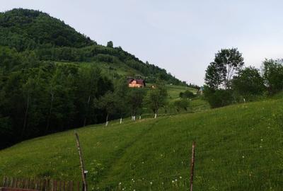 Spațiu comercial, în Măgura - 5
