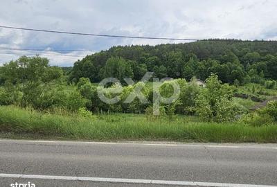 Teren de 7797 mp, în Mărgineni