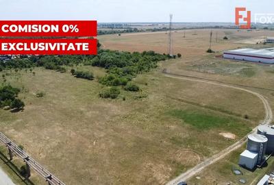 COMISION 0% Teren de vanzare intravilan de 5000 mp in Chisoda - 3
