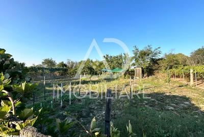 Casă cu 2 camere cu Teren 1045 Mp în Drăguțești - 8