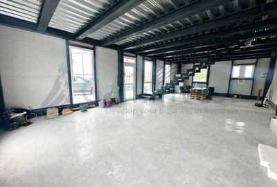 Spațiu industrial, în Borș - 4