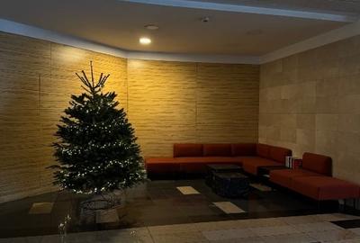 2 camere foarte spațioase, Bd. Ferdinand 58, Evocasa Selecta, Bloc Nou - 12