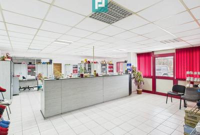 Hală de producție, cu birouri și teren, în Sebiș - 7