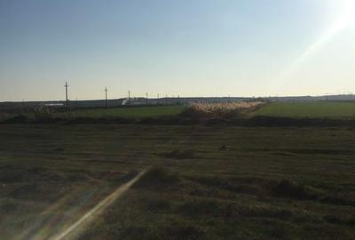 Teren de 31500 mp, în Vădeni - 5