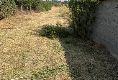 Teren Construcții intravilan de 572 mp, în Dudovicești - 3