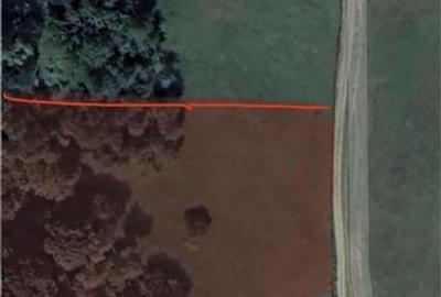 Teren de 5000 mp, în Vișinești - 3