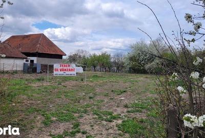 Teren de 4600 mp, în Recea - 6