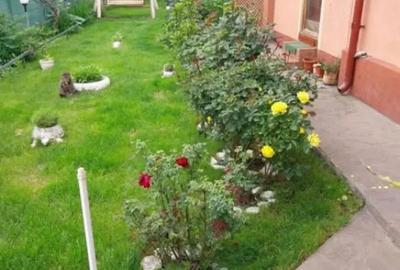Casă cu 7 camere cu Teren 1330 Mp în Central - 14