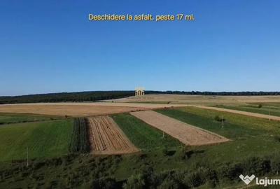 Teren de 1295 mp, în Mitocu Dragomirnei - 2