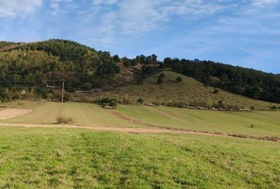 Teren de 6700 mp, în Sântămăria-Orlea - 5