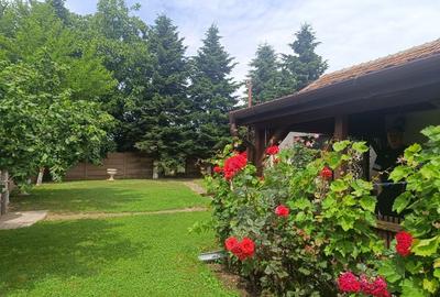 Casă cu 2 camere în Santăul Mare - 4