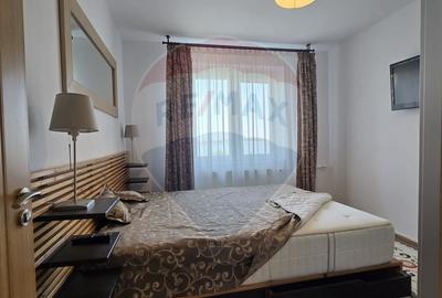Apartament cu 3 camere semidecomandat, mobilat în Crângași - 5