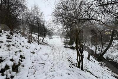 Teren de 2800 mp, în Micești - 5
