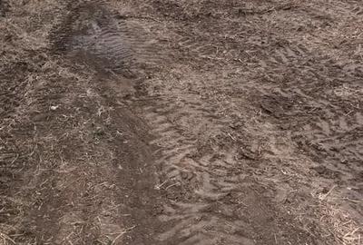 Spațiu comercial, în Șirna - 1