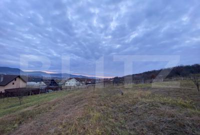 Teren de vanzare 10 ari intravilan | Zona Unirea | La d - 4