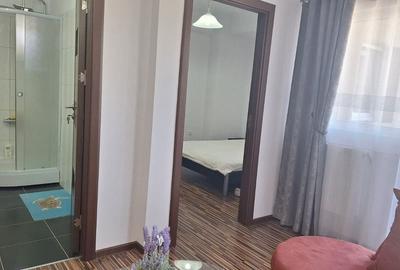 Apartament 2 cam de vanzare Curtea de Arges - 4