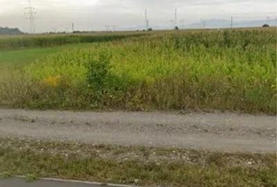 Teren Intravilan Calea Bucuresti 8.752 mp - 1