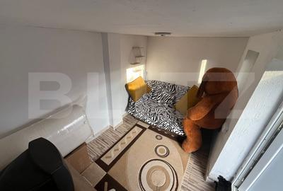 Casa renovata Varvoru de Sus, 30 mpu, 1000 mp curte. - 6