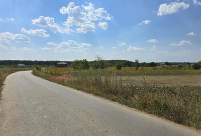 Loturi in rate Ciolpani 536mp + cota drum 188mp - 1