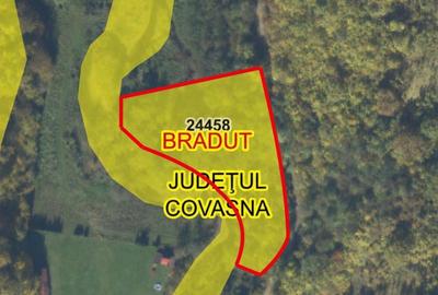 Teren extravilan de 5600 mp, în Filia - 2