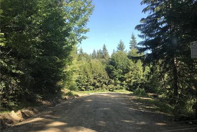 Teren de 1656 mp, în Brebina - 5