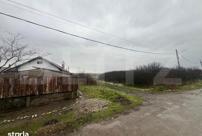 Teren de 2298 mp, în Robănești - 4