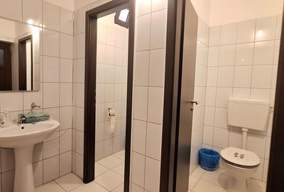 Casă individuală cu 10 camere cu Canalizare în Torontalului - 10