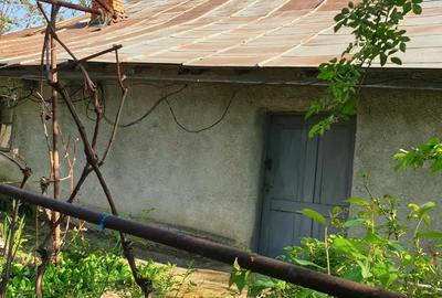 Casa de vanzare la tara - 4