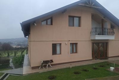 Casă cu 4 camere în Central - 2