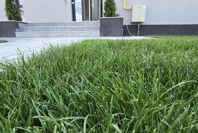 Garsonieră în Bucium - 5