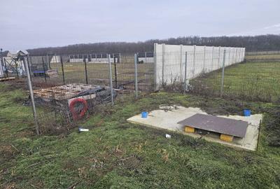 Teren de 625 mp, în Ștefăneștii de Jos - 3