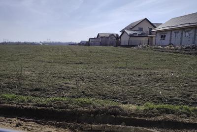 Teren Construcții extravilan de 23200 mp, în Săbăreni - 2