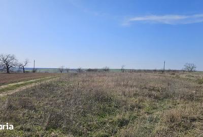 Teren de 6707 mp, în Cetariu - 9
