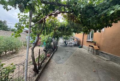 Casa / Vila cu 4 camere de vanzare in zona Brestei - 16