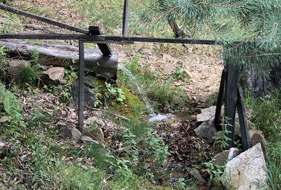 Casă cu 3 camere în Mădrigești - 7