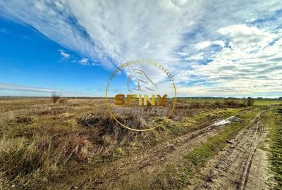 LOT de casa Tartasesti Primarie, teren cu potential - 2