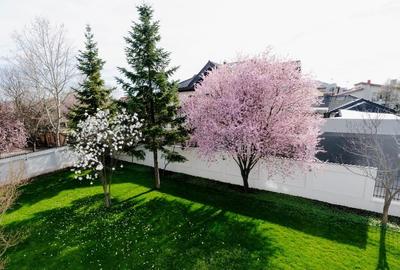 Casă individuală cu 7 camere cu Canalizare în Pipera - 4