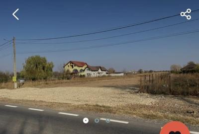 Teren de 5000 mp, în Lucianca - 3
