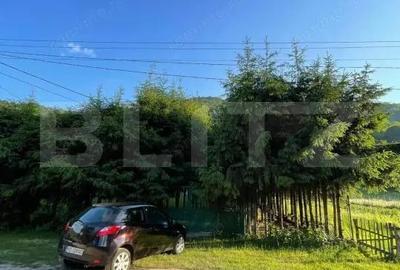 Casa deosebita in comuna Vidra, jud. Alba - 12