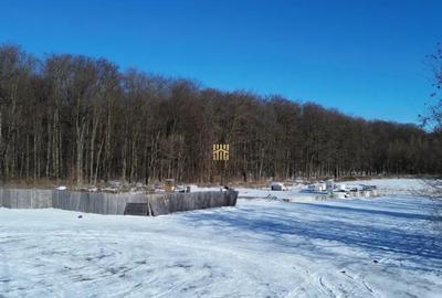 Teren în Dragomirna - 13