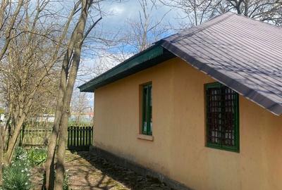 Casă cu 3 camere în Floroaica - 6