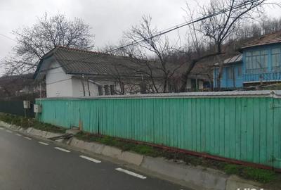 Casă în Muntenii de Jos - 5