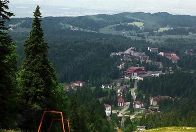 Teren de 9800 mp, în Poiana Brașov
