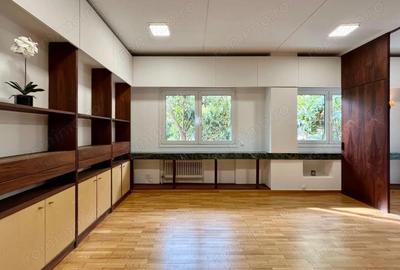 Spatiu de inchiriat in Tineretului - 1