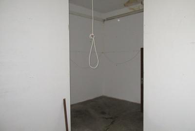 Inchiriere spatiu comercial Teiul Doamnei - 29