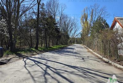 TEREN INTRAVILAN 24100 MP AGIGEA - 4