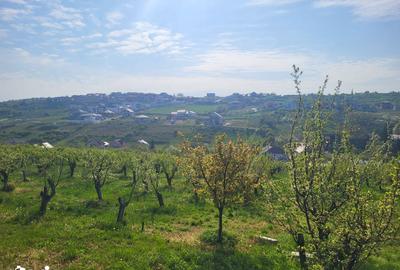 Teren de 3405 mp, în Spitalul Județean - 9