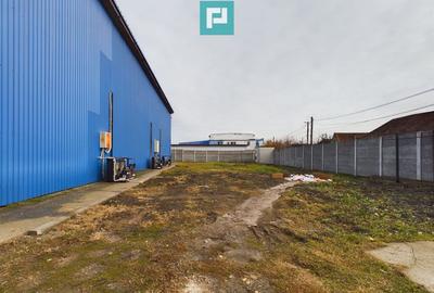 Depozit frigo de inchiriat in Sacalaz - 3